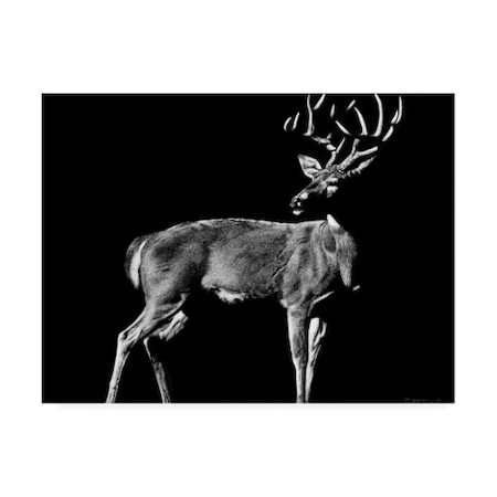 Julie Chapman 'The Prize Deer' Canvas Art,18x24